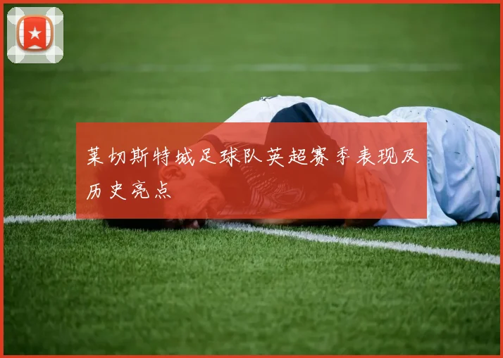 莱切斯特城足球队英超赛季表现及历史亮点