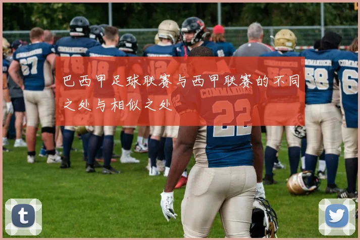 巴西甲足球联赛与西甲联赛的不同之处与相似之处