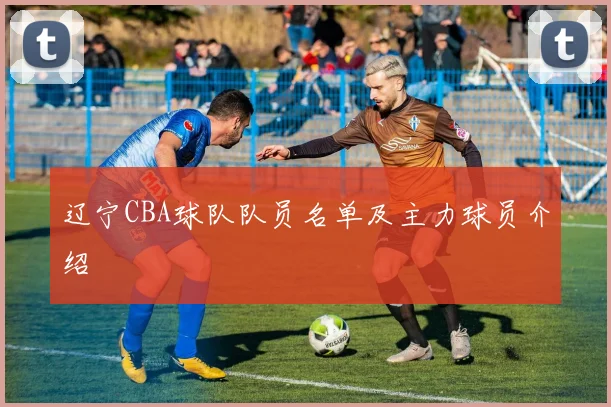 辽宁CBA球队队员名单及主力球员介绍