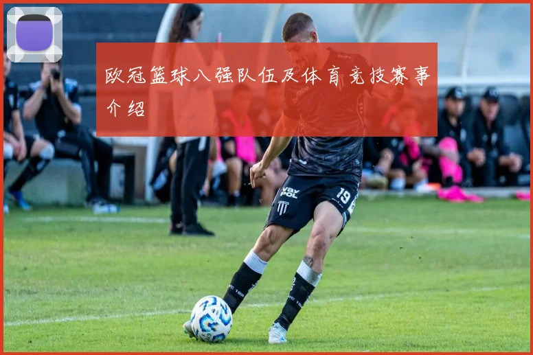 欧冠篮球八强队伍及体育竞技赛事介绍