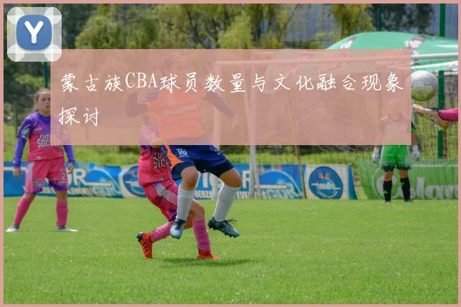 蒙古族CBA球员数量与文化融合现象探讨