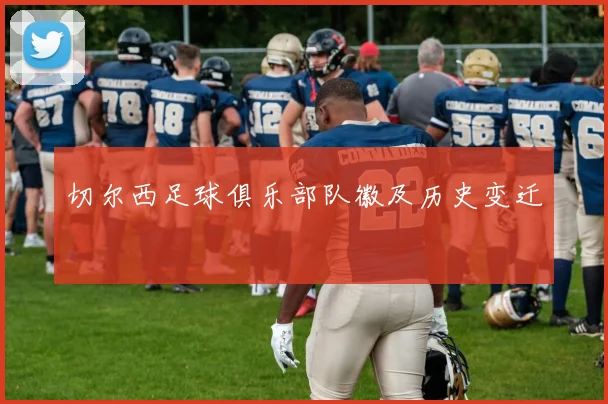 切尔西足球俱乐部队徽及历史变迁